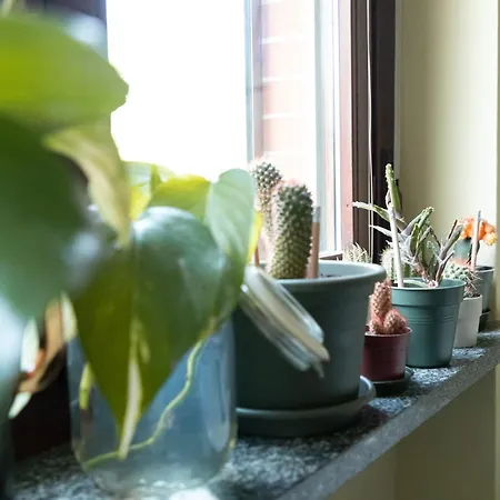 Apartment House Of Music San Siro Fiera